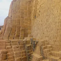 اجر درجه یک و اجرنما خوش قالب