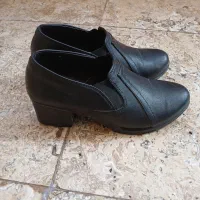 کفش پاشنه بلند|کیف، کفش، کمربند|قم, انسجام|دیوار