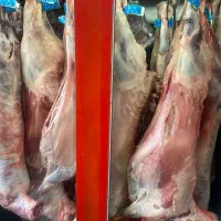 فروش گوشت با چک ۶۰ روزه|خوردنی و آشامیدنی|یزد, |دیوار