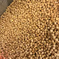 نخود|خوردنی و آشامیدنی|تهران, آذربایجان|دیوار