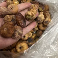 انجیرخشک ارگانیک