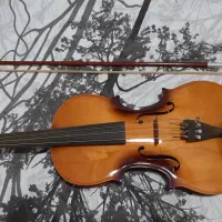 ویولن در حد آک
