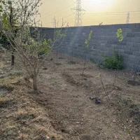 باغچه-472-متری-سند-عرصه-اعیان-داخل-مجموعه