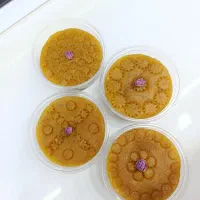 فرنی حلوا شله زرد شیربرنج کماچ تازه|خوردنی و آشامیدنی|بیرجند, |دیوار