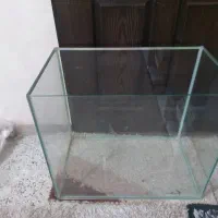 آکواریوم سالم در حد نو