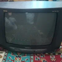 تلوزیون