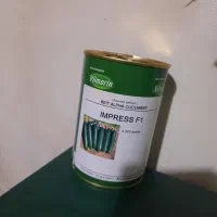 بذر خیار