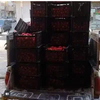 آبگوجه گیری دستگاه آبگوجه گیر