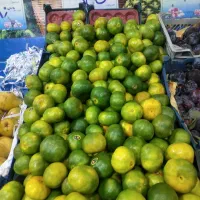 استخت دام فروشند برای میوه فروشی