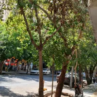 ویلایی شریف واقفی