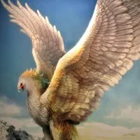 وبینار رایگان کشف رسالت