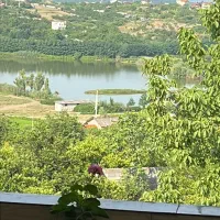 توجه زمین به علت مهاجرت فروشی توجه