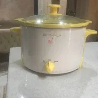 ۲عدد پلوپز وآرامپز بخارپز|سایر لوازم برقی|شیراز, صنایع الکترونیک|دیوار