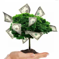 نیازمند سرمایه