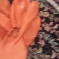 ۸جفت دستکش|لباس|بیرجند, |دیوار