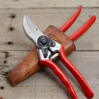 هرس انواع درختان میوه