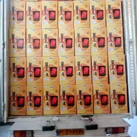 کبابپز ایستاده ضیافت|اجاق گاز و لوازم برقی پخت‌وپز|تالش, هشتپر|دیوار