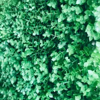 اجاره دفتر کار و یا انبار