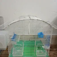 قفس و مرغ عشق|پرنده|قم, شاه سید علی|دیوار