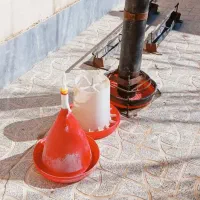 فروش دان خوری و اب خوری