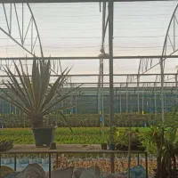 فروش گلخانه صنعتی|فروش دفتر صنعتی، کشاورزی، تجاری|پاکدشت, پاکدشت (مامازند)|دیوار