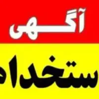 استخدام تیم کارتخوان کلیه زمینه ها تکنسین کارشناس|استخدام رایانه و فناوری اطلاعات|مشهد, امیر المومنین|دیوار