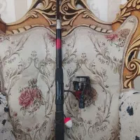 لنسر ماهی گیری حرفه ای