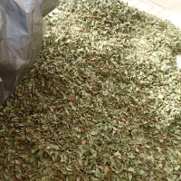 برگ حنا برای فروش