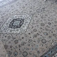 فرش ۱۲متری کرم|فرش|شیروان (خراسان), |دیوار