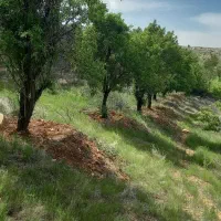 فروش-باغ-شهری1260مترکمربندی-خان-زنیان