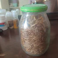 مقداری غذای پرنده