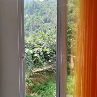 ویلا جنگلی در مسیر آبشار زمرد|اجارهٔ کوتاه‌مدت ویلا و باغ|حویق, |دیوار