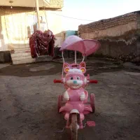 کالسکه کوچک تمیز مرتب