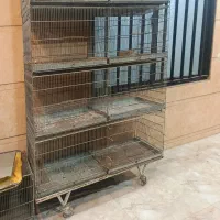 قفس 6خان درجه یک