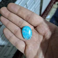 فیروزه گوشتی