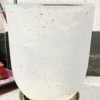 گلدان با خاک و‌کود