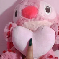عروسک اتیج صورتی و آبی