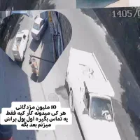 گمشده سگ مژدگانی