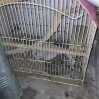 قفس بزرگ