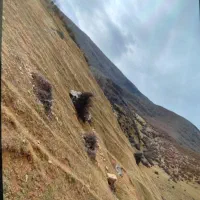 فروش-زمین-ییلاقی-در-فیروزآباد