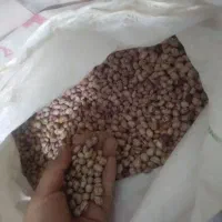 لوبیا چیتی کیلو 280