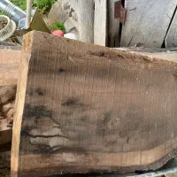 چوب گردو سیاه