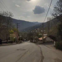 مشاور در خرید ، فروش و اجاره    گلستانی