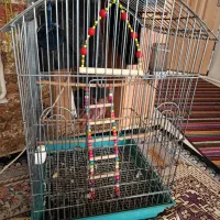 قفس بزرگ با وسایلش