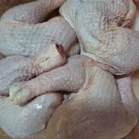 مرغ ران سینه فیله شنیسل اسکلت تازه درجه یک