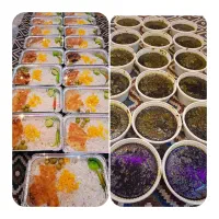 آشپزخانه عبادی. غذای خانگی