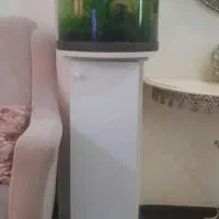 آکواریوم منحنی