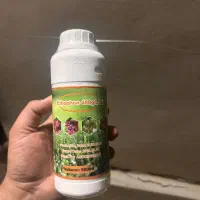 سهم اتفن اسپانیا
