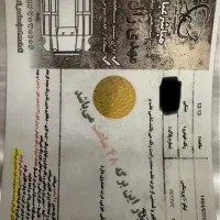 تیگو ۸ پروکس اکسلنت|خودرو سواری و وانت|تهران, دزاشیب|دیوار