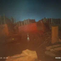 خریدار چوب هیزمی چ کفبری درخت خشک